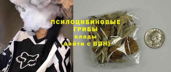 крисы Алексеевка