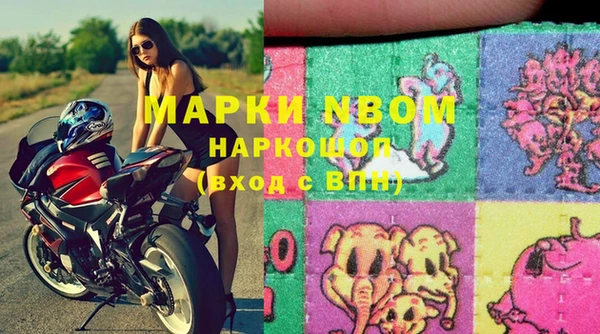 дмт Алзамай