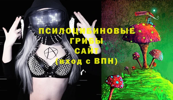 крисы Алексеевка