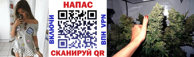сколько стоит Ардатов Бошки марихуана семена